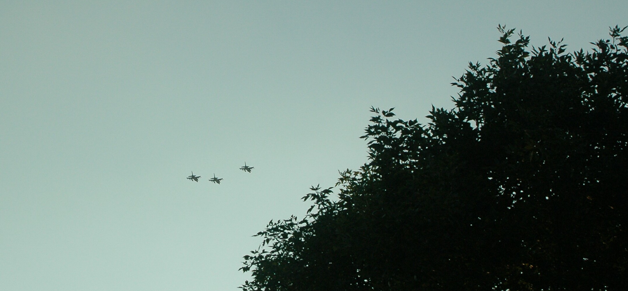  . . . flying on . . 